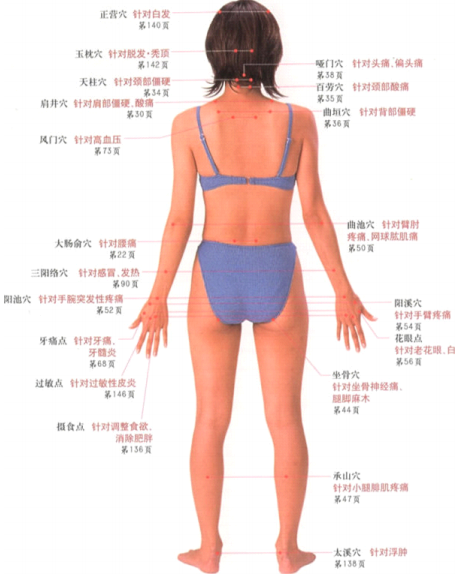 人体按摩穴位示意图（超高清）-文档宝库论坛-神马盘-神马盘资源